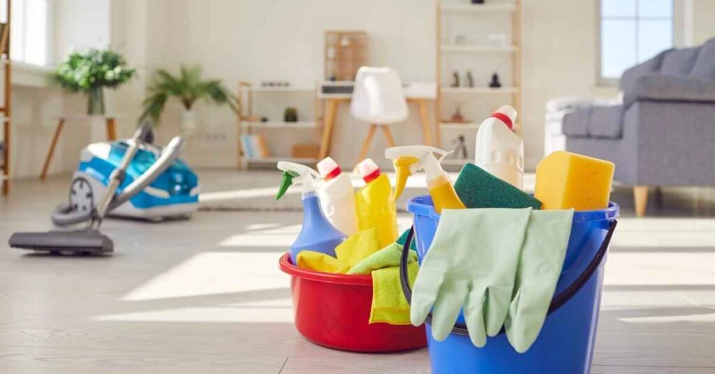  house cleaning services windsor​